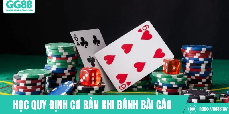 Học quy định cơ bản khi đánh bài cào